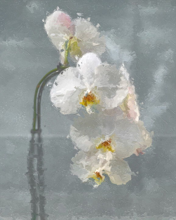 Digital Arts titled "White Orchids" by Photospoon, Original Artwork, Digital Painting