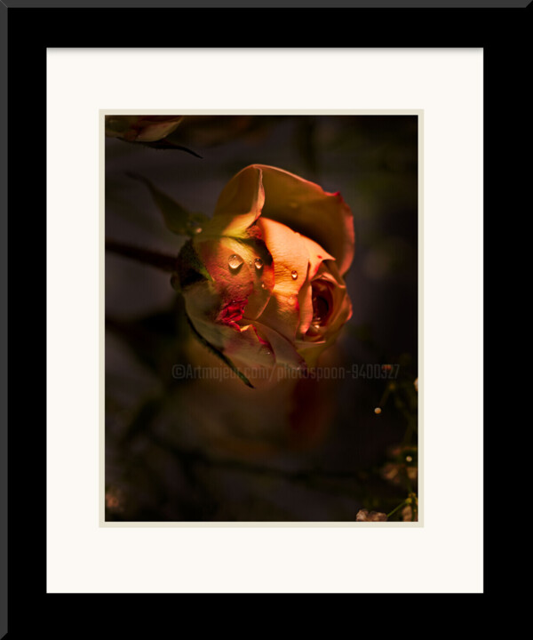 Work presented framed