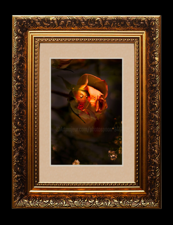 Work presented framed