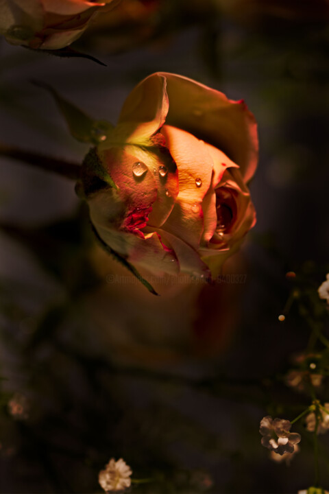 Photography titled "Dark Daughter 1" by Photospoon, Original Artwork, Digital Photography