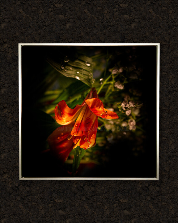 Work presented framed