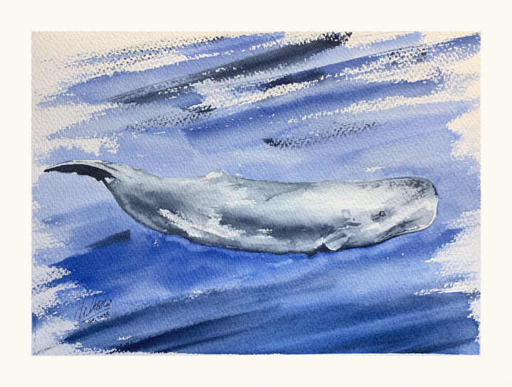 Sperm whale (cachalot) 绘画, 12.2x16.1 in