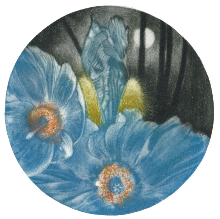 Gravures & estampes intitulée "Série: Dans le jard…" par Dominique Keruzec (Maho), Œuvre d'art originale, Gravure