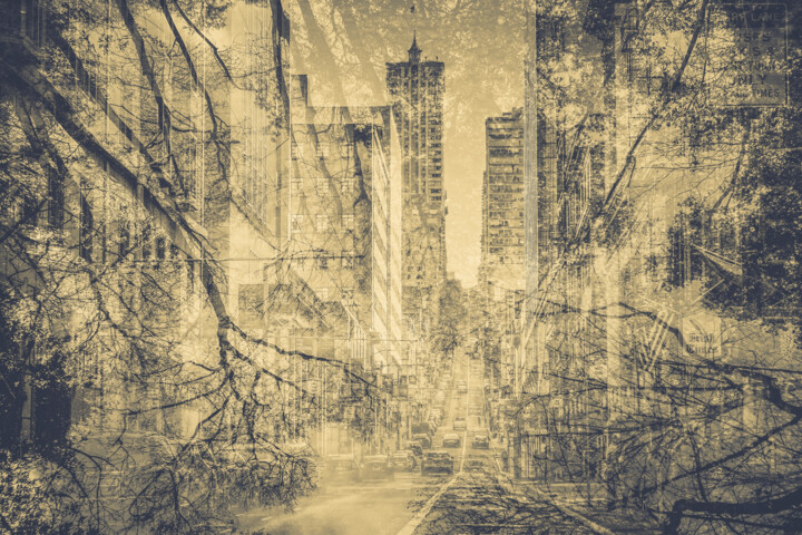 Street Forest San Francisco Vintage Fotografia