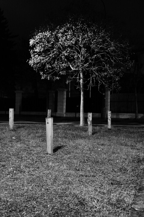 street composition XLVII 摄影
