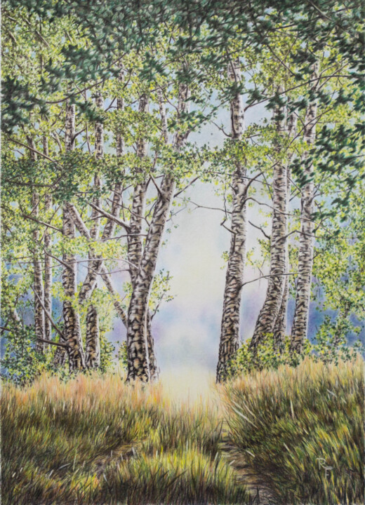 Malerei mit dem Titel "Birken an Schulzens…" von Ronald Firla, Original-Kunstwerk, Conté-Buntstifte