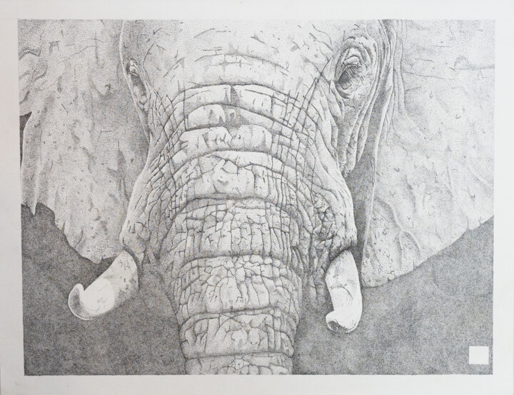 Elephant 图画, 19.7x25.6 in