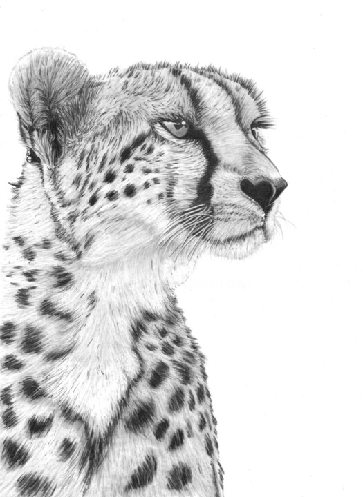 图画,  13.8x9.8 in 