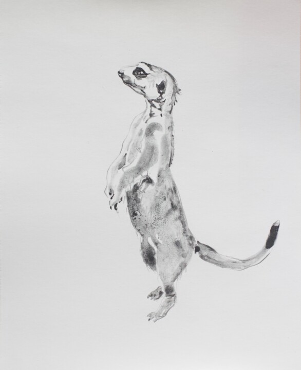 Meerkat 绘画, 8.3x6.3 in