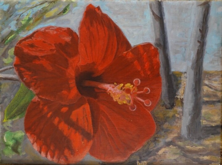 Greek Hibiscus 绘画, 11.8x15.8 in