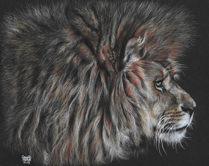 Le Lion 图画, 8.3x11.4 in