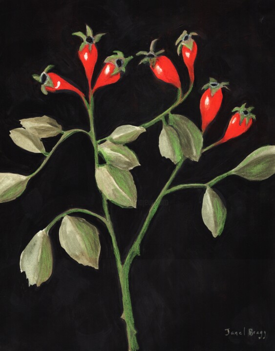 Painting titled "Rose Hips from the…" by Janel Bragg, Original Artwork, Watercolor
