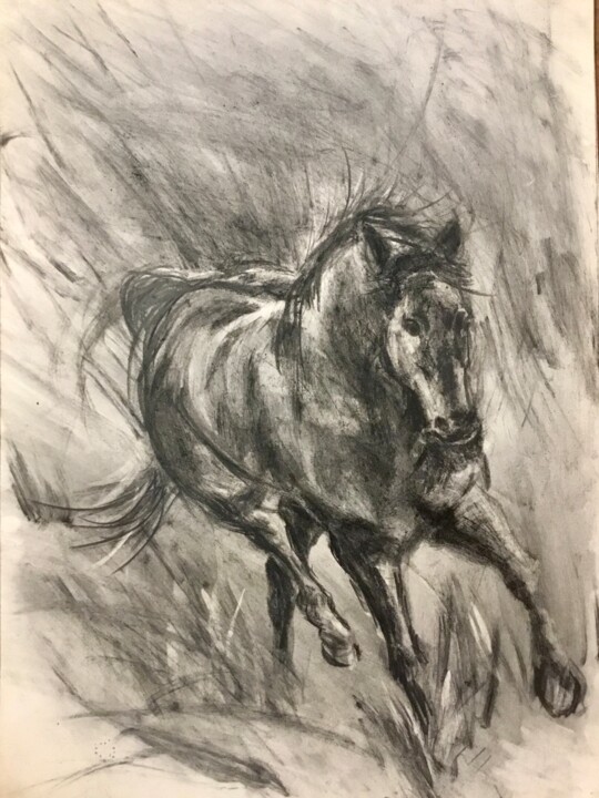 Sketch of a horse 图画, 16.5x11.7 in