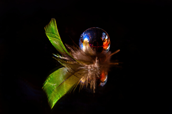Ball 摄影, 31.5x47.2 in