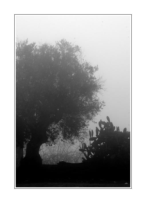 Photography titled "State of perplexity" by Jose Carlos Sarmento, Original Artwork
