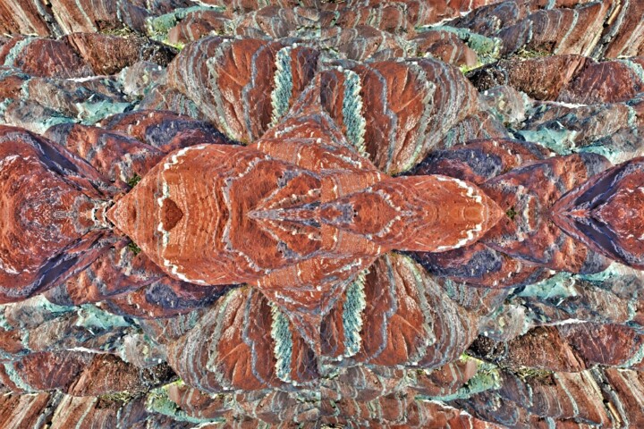 CRUSTACEA 摄影, 18x26 in