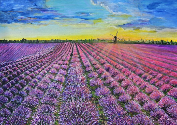 Lavender field 绘画, 19.7x27.6 in