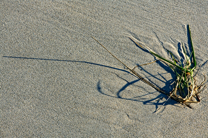 Histoire d'eau et de sable 27. Fotografia, 393,7x590,6 in