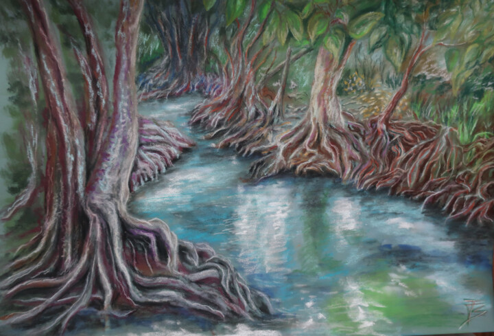 Foret de mangrove Resim, 11,8x19,7 in