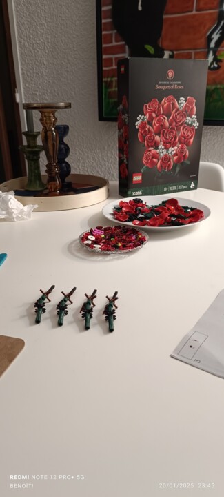 Opera d'arte in situazione