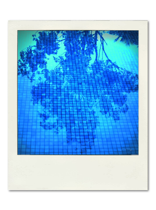 Polaroid Serie N111 数字艺术