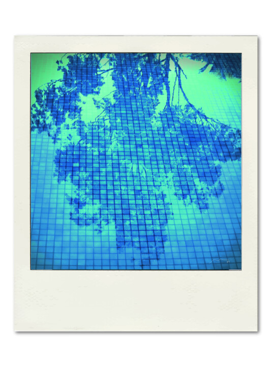 Polaroid Serie N112 数字艺术
