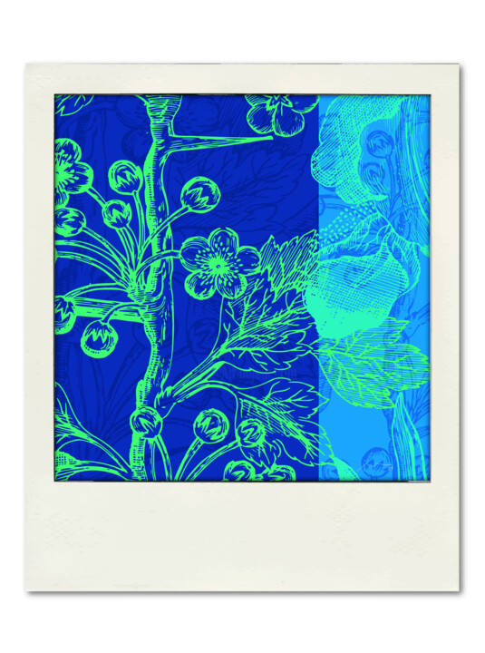 Polaroid Serie N43 数字艺术
