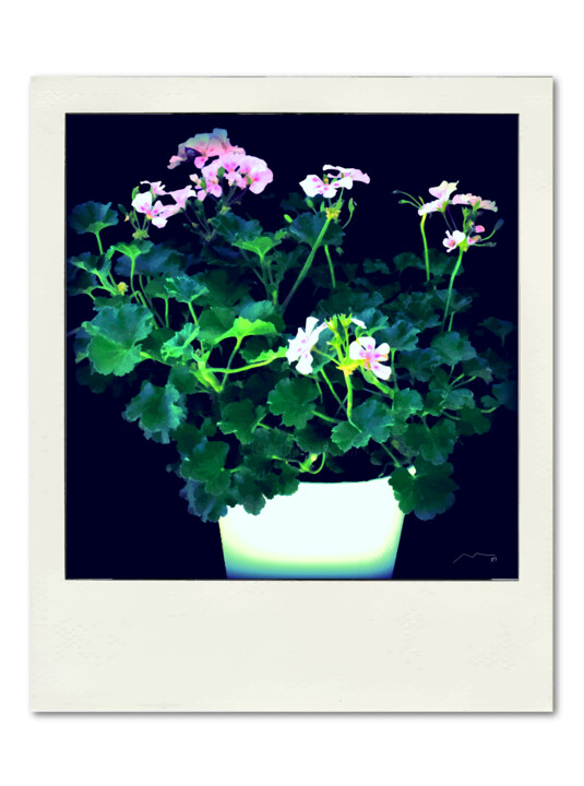 Polaroid Serie N17 数字艺术