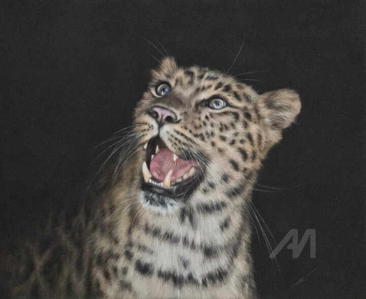 Amur leopard 图画, 10.6x13 in