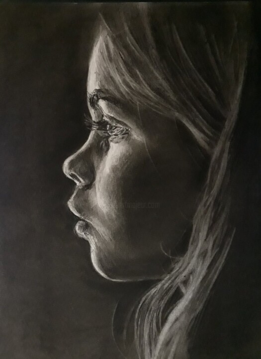 Профиль Tekening, 11,7x8,3 in