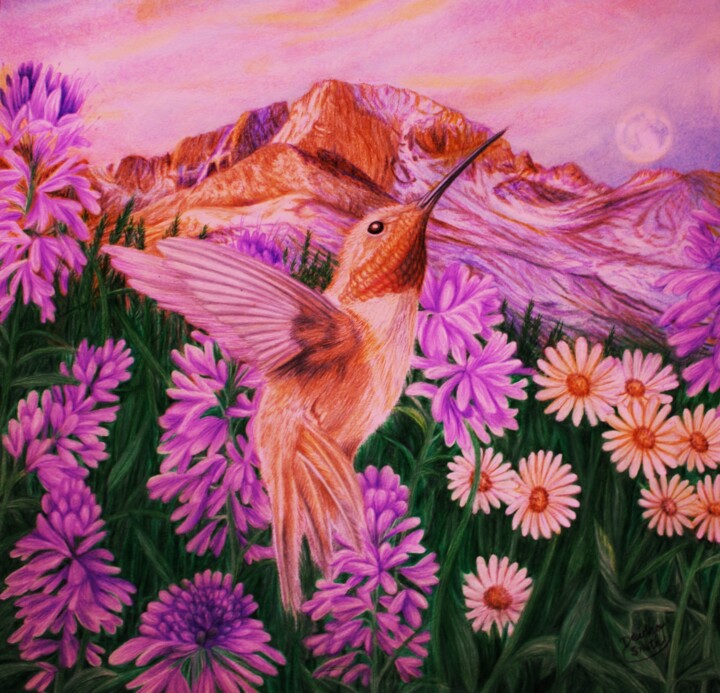 Hummingbird Jewel of the Rocky Mountains 图画, 12x13 in