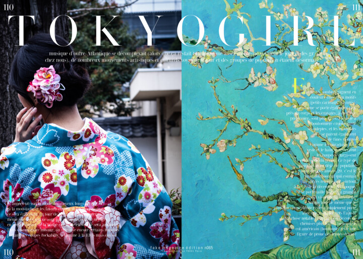 Fake Magazine Serie N65 数字艺术