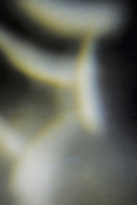 Shadows of a Quiet Dream (3203) Fotografie, 60,8x40,9 in