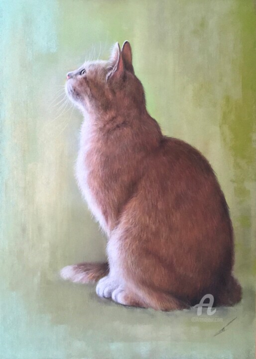 Resim,  13x9,3 in 