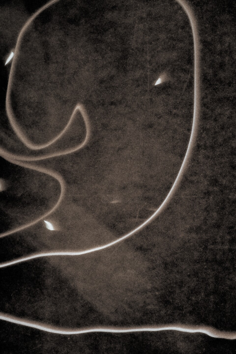 Elephant's Sorrow (3248) 摄影, 60.6x40.9 in