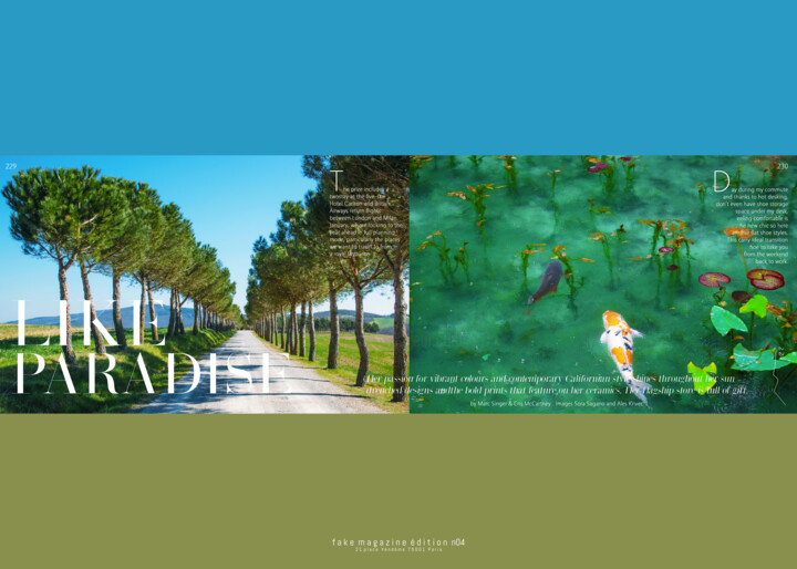Fake Magazine Serie N2 数字艺术