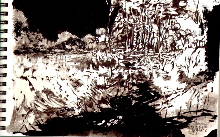 Dessin intitulée "Ciel noir, eau noire" par Dominique Leblanc, Œuvre d'art originale, Encre