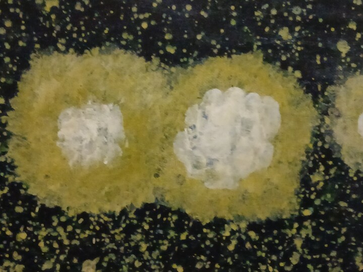 Nuit etoîlée 绘画