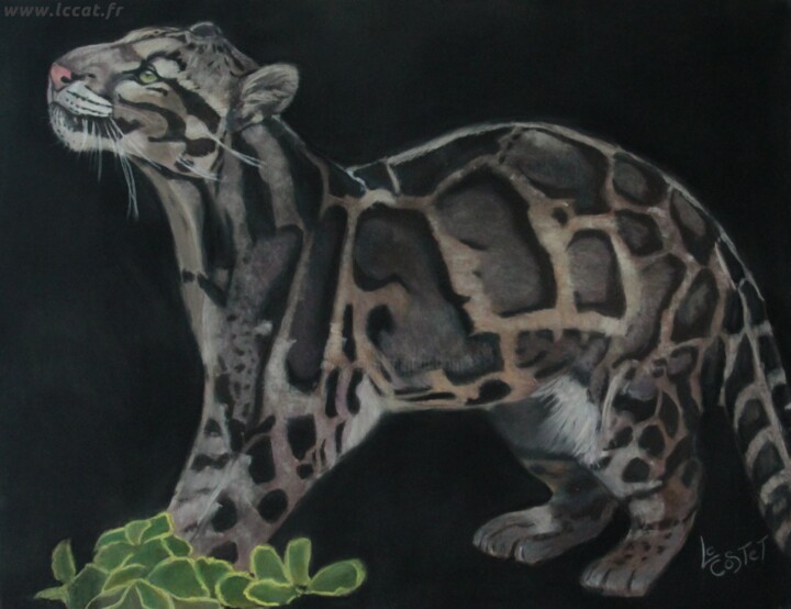Peinture intitulée "Panthère nébuleuse" par Catherine Costet (Lccat), Œuvre d'art originale, Pastel