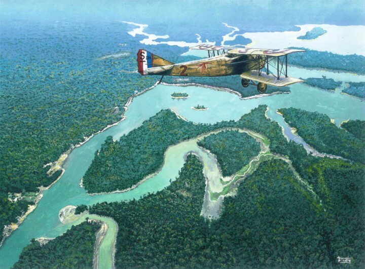 Spadamazonie 绘画, 15.8x11.8 in