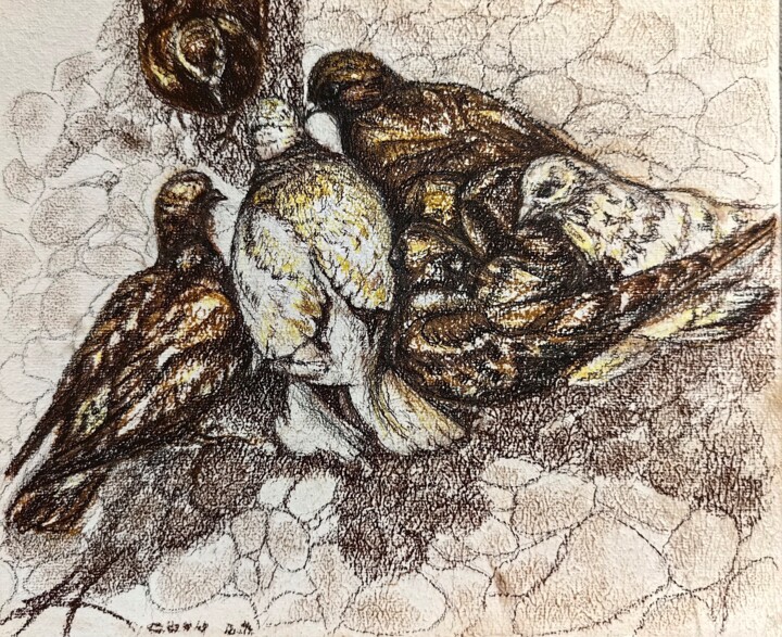 ,, Pigeons ,, Pittura, 9,8x11,8 in