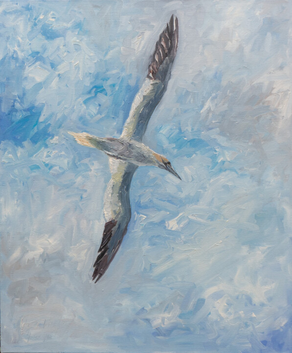 Basstölpel 绘画, 47.2x39.4 in