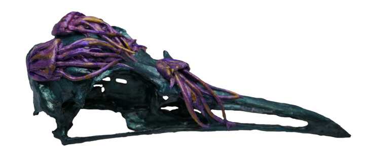Goéland argenté avec meduses 2 Scultura, 1,2x4,3 in