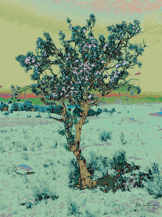 Almond tree-1 Photographie, 39,4x29,5 in