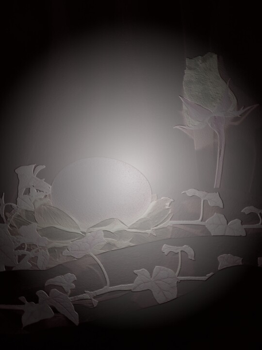 Le sommeil de la belle 摄影