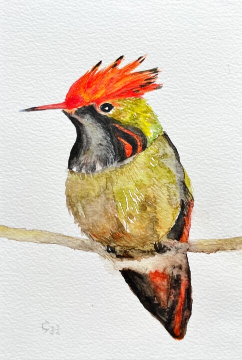 Peinture intitulée "Coquette huppe-col…" par Claire Hamant, Œuvre d'art originale, Aquarelle