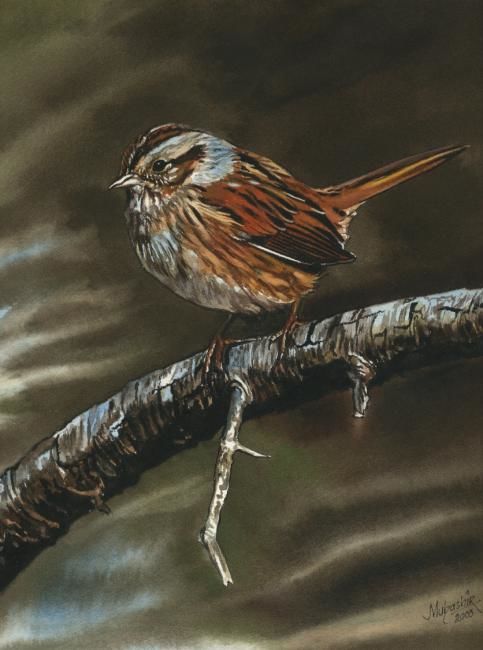 Painting titled "Bird" by Mubashir Iqbal, Original Artwork