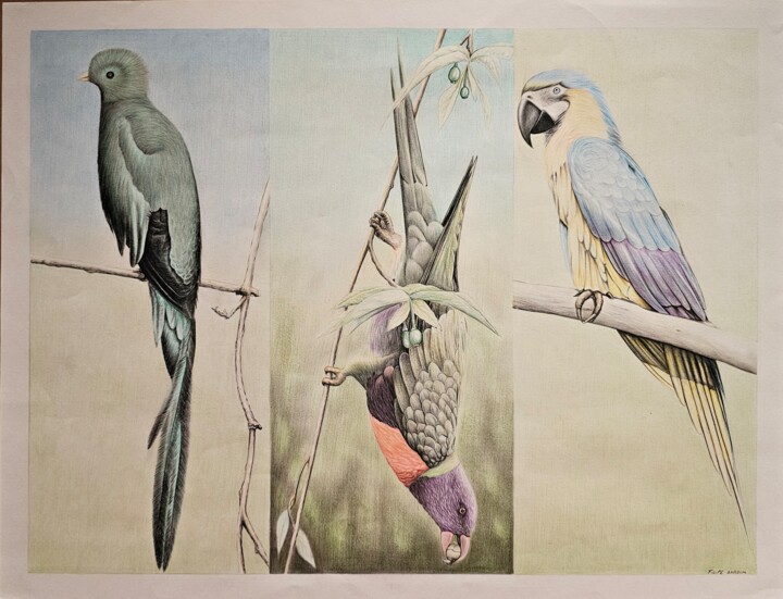 绘画,  20.1x26 in 