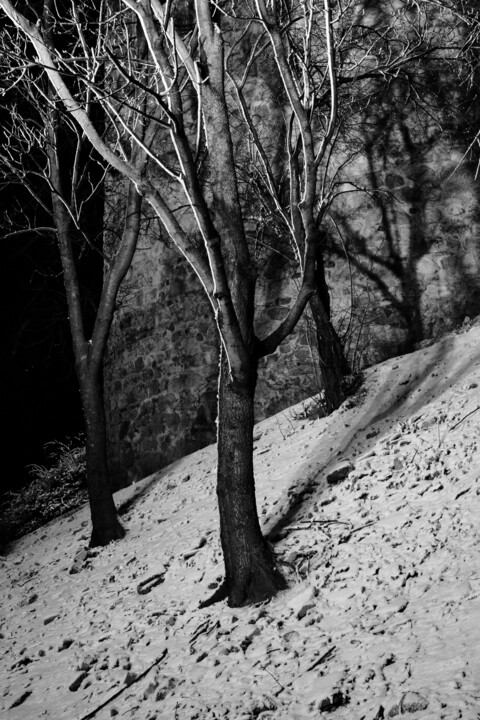 park composition XVIII 摄影