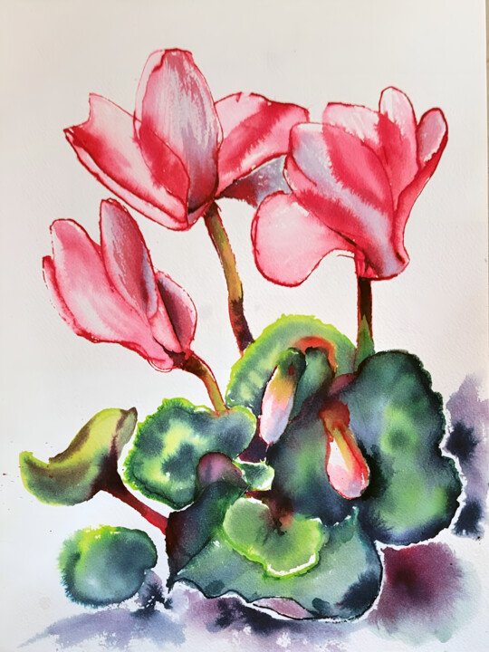 cyclamen 02 绘画, 12.2x9.1 in